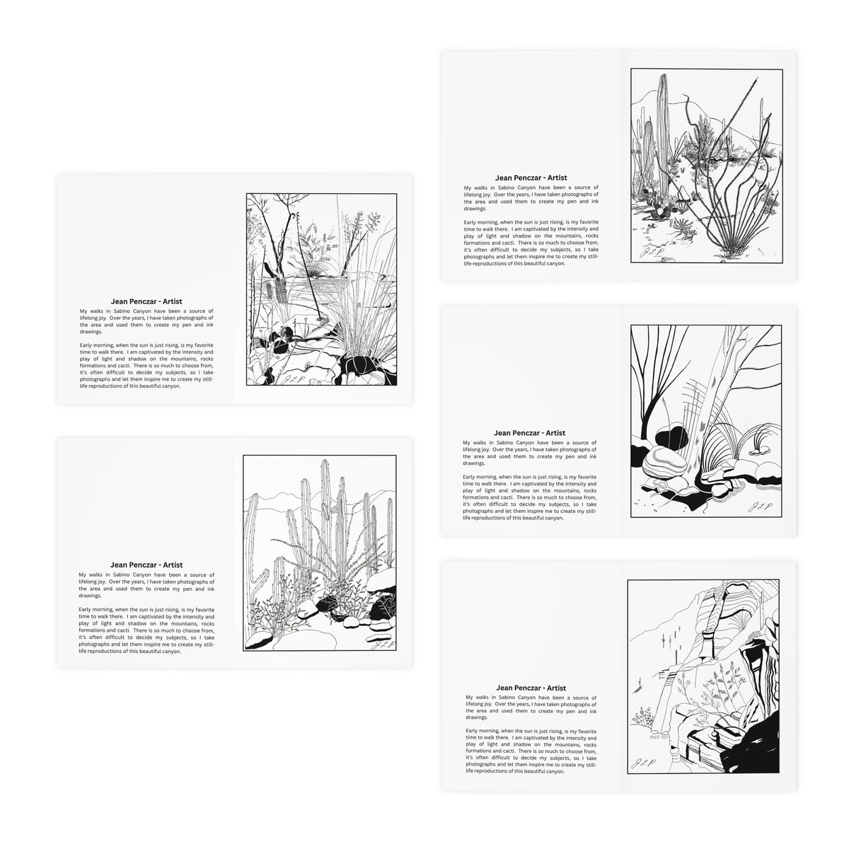 Artistic Blank Art Note Cards with Envelopes by Jean Penczar (Set of 5) | Sabino Canyon